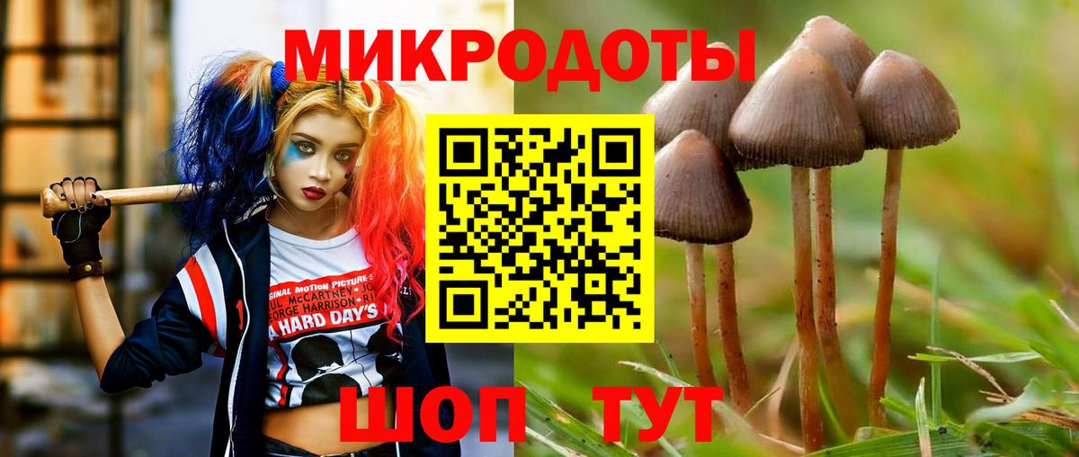 Галлюциногенные грибы Cubensis  Вход с VPN  Псилоцибиновые грибы Cubensis  Новочеркасск 
